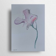 Kwiatek  -akwarela A4