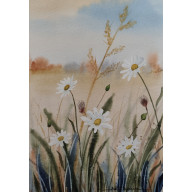 AKWARELA AKWARELKA OBRAZ PT. ŁĄKA 4