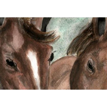 Bożena Ronowska - obrazy akwarela - Dwa konie  foto #1