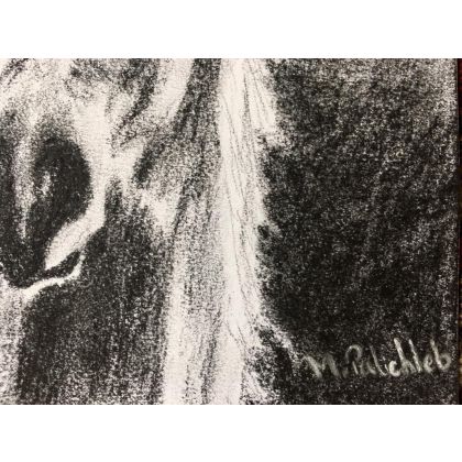 Monika Palichleb - rysunek węglem - Horse, A4 foto #2