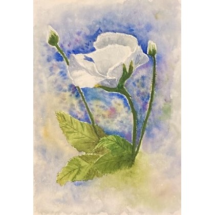 Bohomazy Obrazy - obrazy akwarela - Biała róża foto #3