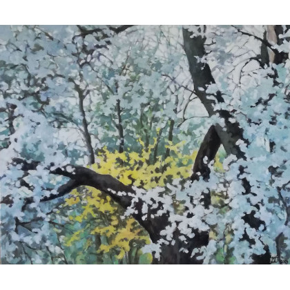 Czas kwitnienia, Małgorzata Domańska, obrazy olejne