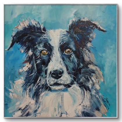 Portret pasa -   BORDER COLLIE, Justyna Zielonka, obrazy olejne