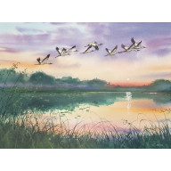 Żurawie i zachód słońca