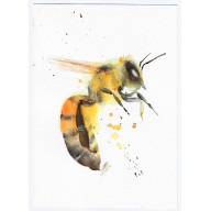 Pszczoła - obraz akwarelowy