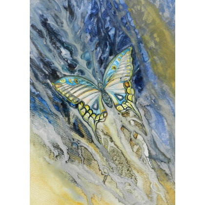 Butterfly, Jolanta Frankiewicz, obrazy akwarela