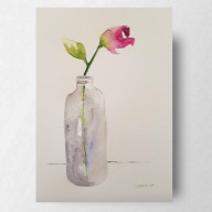Roża - akwarela formatu A5