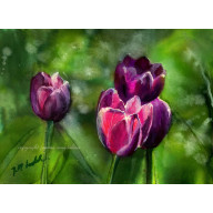 Przemilczane - akwarela w oprawie