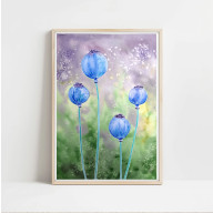 Akwarela A3. Makówki