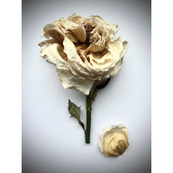 z cyklu: niespiesznie umierając...: dzieląc Się....