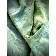 z cyklu: ... niespiesznie umierając: wsunąć 06.01, tknąć 10.02