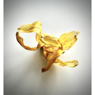 z cyklu: ... niespiesznie umierając: tańczą 02.02, 02.03, 02.04, 02.05