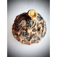 z cyklu: niespiesznie umierając: ... bez pośpiechu, naprawdę powoli... 05.01, 05.02 dyptyk