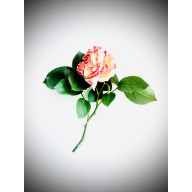 z cyklu: niespiesznie umierając: wstanę, wstałam, będę stała... 17.01, 17.02, 17.03