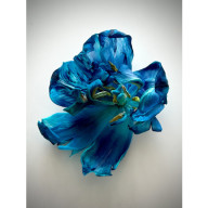 z cyklu: ... niespiesznie umierając: tańczą 02.02, 02.03, 02.04, 02.05