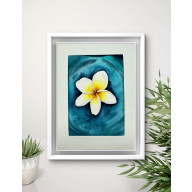 Akwarela A5 Kwiat Frangipani