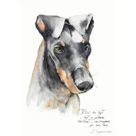 Pies - akwarela Rezerwacja