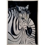 Zebra.