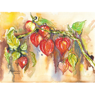 Miechunkowa gałązka