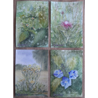 Magia ziół, Akwarela