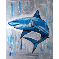 Shark 80x100