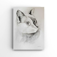 Kot- akwarela formatu A5