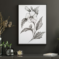 rysunek tuszem Ketmia Syryjska