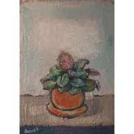 Roślinka w pomarańczowej doniczce