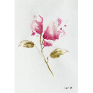 Różowy Kwiat A4 - akwarela