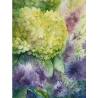 Hortensje w ogrodzie