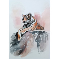 Tygrysie obserwacje, Akwarela 32x24 cm