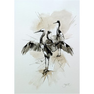 Żurawia rodzinka, Akwarela 32 x 24 cm