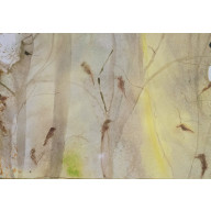 Akwarela Ptasie śpiewy