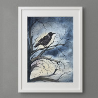 Akwarela Czarny kruk