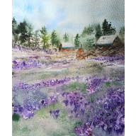 DOLINA CHOCHOŁOWSKA -KROKUSY-AKWARELA A4