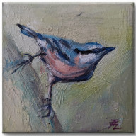 KOWALIK - CYKL PTAKI