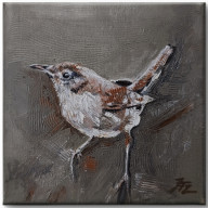 STRZYŻYK - CYKL PTAKI