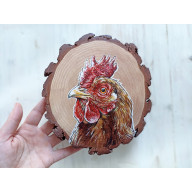 KURA NA DREWNIE SOSNOWYM