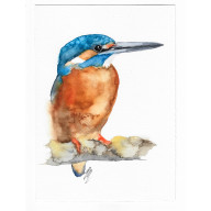 ZIMORODEK - OBRAZ AKWARELOWY