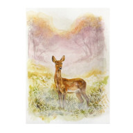 SARNA - AKWARELA NA PAPIERZE