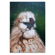 KOGUT SILKI, 60X40CM