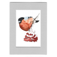 GIL - AKWARELA Z PASSE PORTOUT