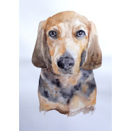 OGAR POLSKI - OBRAZ AKWARELOWY