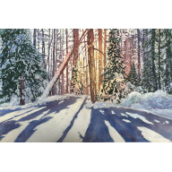 ZIMOWY LAS (50X70 CM)