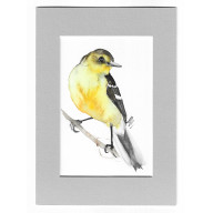 PLISZKA CYTRYNOWA - AKWARELA Z PASSE PORTOUT