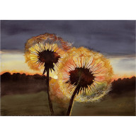 ZŁOTY ZMIERZCH, AKWARELA 50 X 36 CM