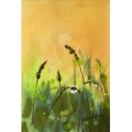 JESTEM (AKWARELA MINIATURKA W OPRAWIE)