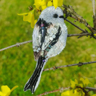 HAFTOWANA BROSZKA RANIUSZEK