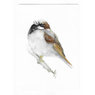 WRÓBEL- OBRAZ AKWARELOWY