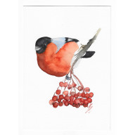 GIL - OBRAZ AKWARELOWY